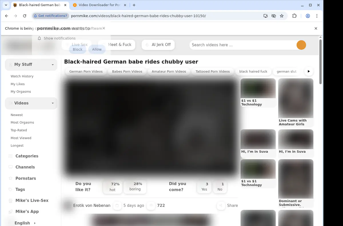 Pornmike Video Downloader browser extension screenshot 2