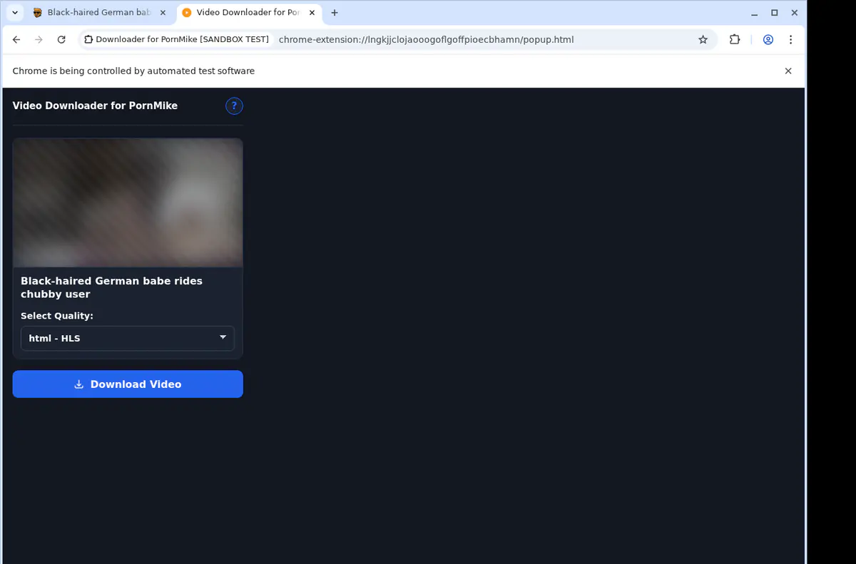 Pornmike Video Downloader browser extension screenshot 4