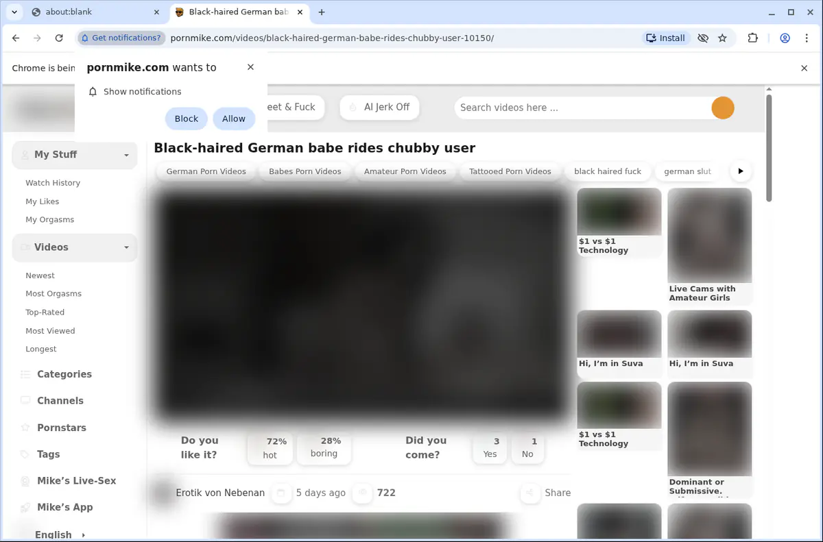Pornmike Video Downloader browser extension screenshot 5